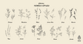 Load image into Gallery viewer, Outdoor Collection