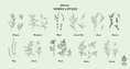 Load image into Gallery viewer, Outdoor Collection