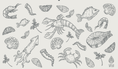 Load image into Gallery viewer, Outdoor Collection
