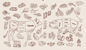 Collection Multi 18" X 30"